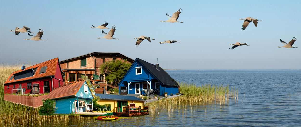 Ferienhäuser Boddenperlen, Collage, Urlaub am Saaler Bodden
