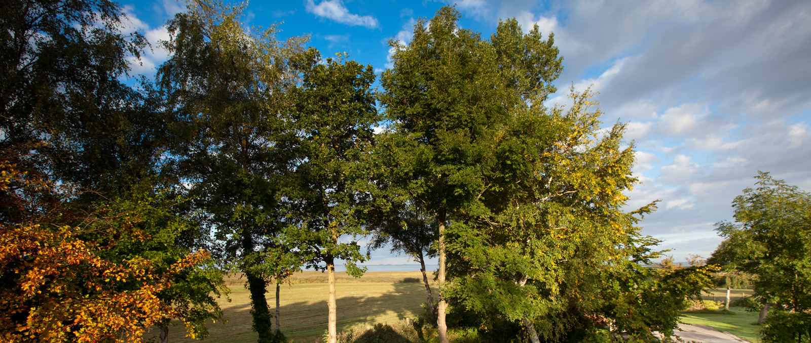 Ausblick Haus Kranichblick