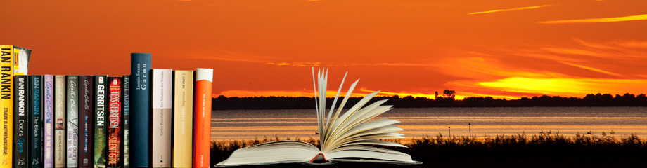 Lesen im Urlaub, Buchtipps, Buchrücken, aufgeklapptes Buch