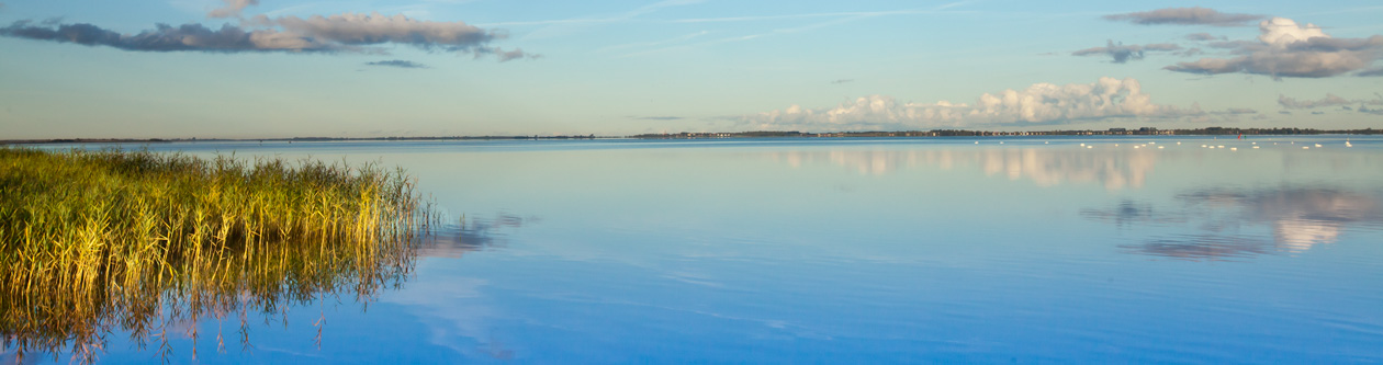 Ferienhäuser Boddenperlen