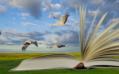 Lesen im Urlaub